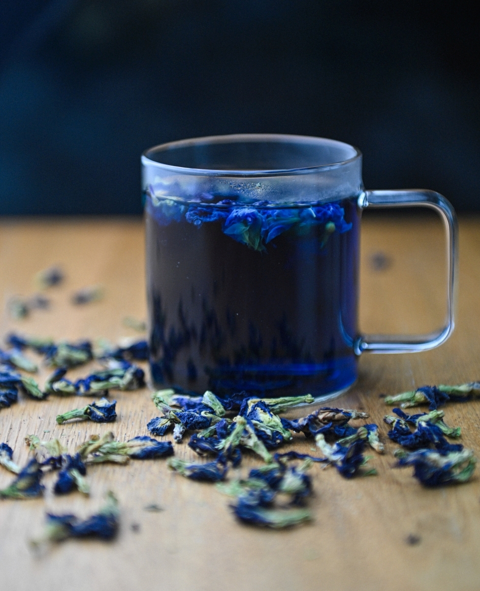 Butterfly tea Vega no Vega Rotterdam